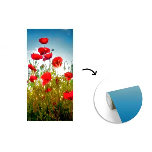 Klaprozen - Toscane - Zon - Rood - Blauw fotobehang vinyl groot -3d