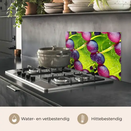 Bessen - Paars - Groen - Dauw keuken achterwand spatscherm klein 900 -usp_NL
