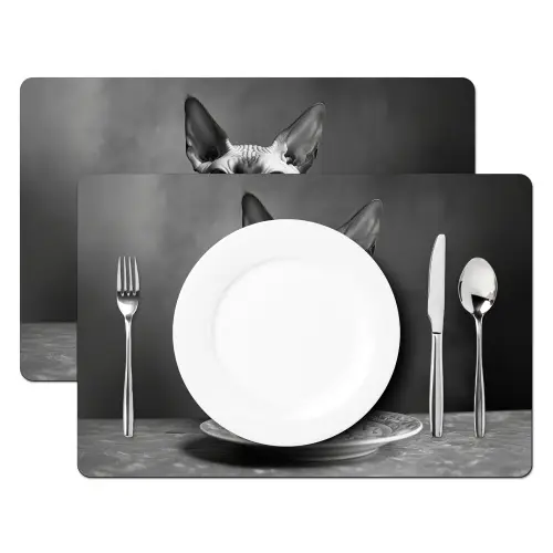 Sphynx - Kat - Dieren - Humor - Spaghetti - Zwart Wit Placemat vinyl groot -zzsfeer2_Kitchenyeah-website