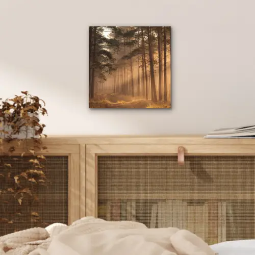 Bos - Mist - Zonlicht aluminium wit klein -sfeer3