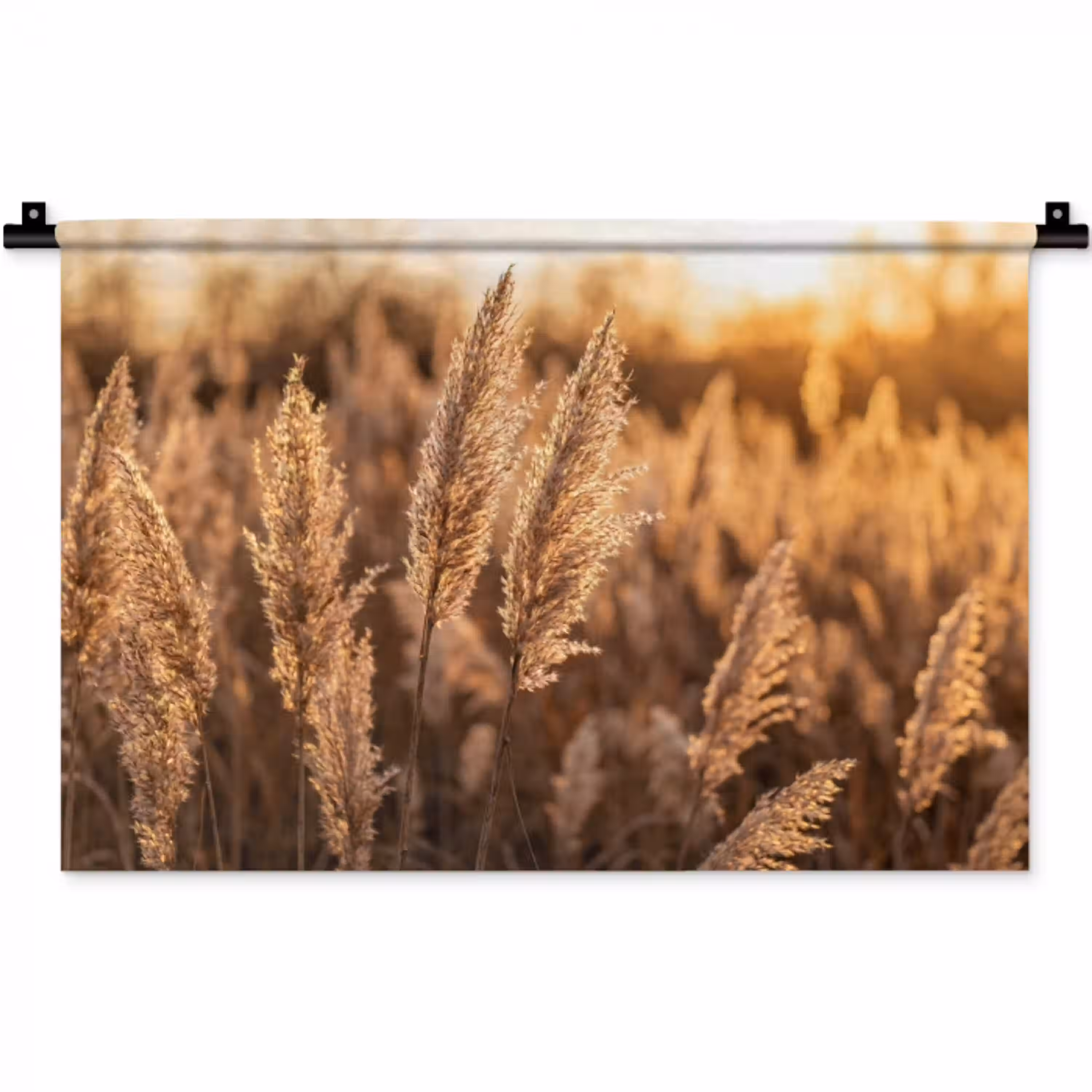 Rietpluimen - Gras - Zonsondergang - Goud - Serene Wandkleed katoen klein -zz3d