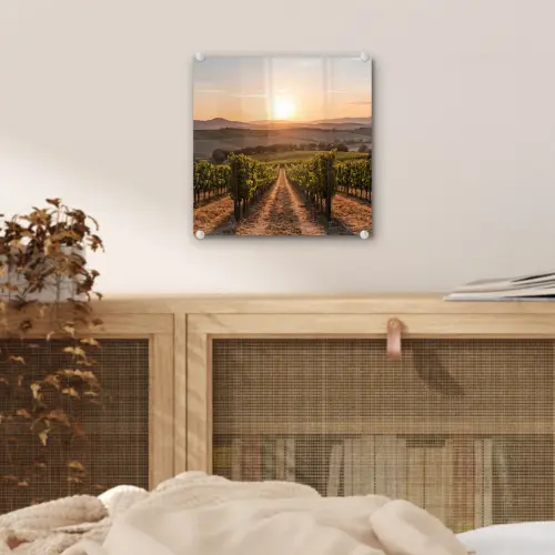 Wijngaard - Zonsondergang - Landschap plexiglas 5mm klein -sfeer4