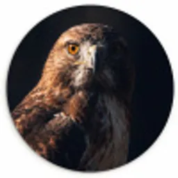 Roofvogel - Buizerd - Bruin Wandcirkel kunststof plaat 5mm dik klein -3d