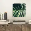Tropisch - Inductie mat - Natuur - Inductie beschermer - Jungle plexiglas 5mm klein -sfeer1