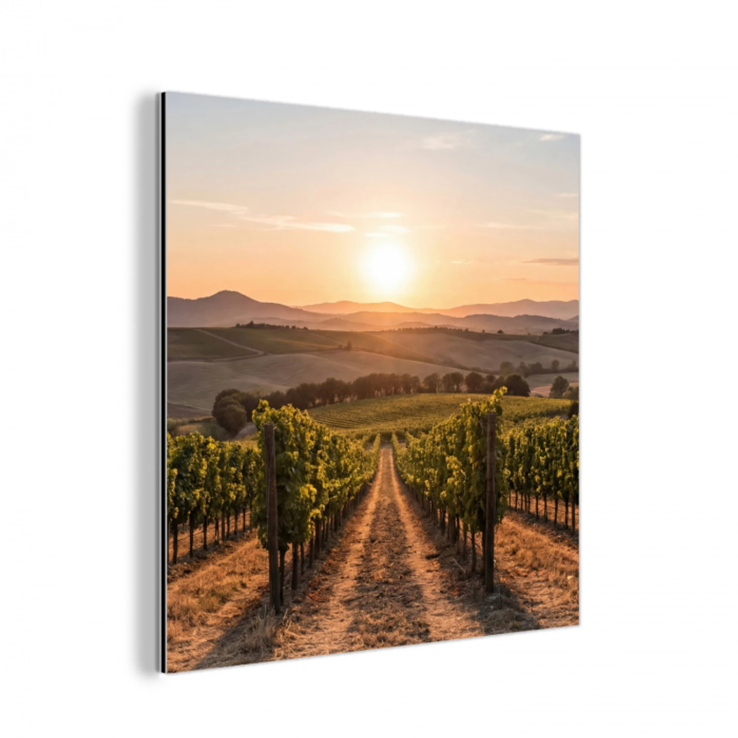 Wijngaard - Zonsondergang - Landschap aluminium wit klein -3d