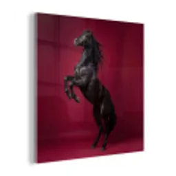 Hengst - Steigert - Rood plexiglas 5mm klein -z3d
