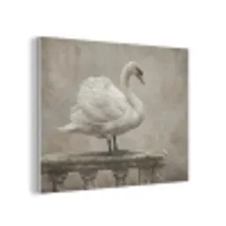 Zwaan - Elegant - Dieren - Wit PET vilt klein -3d