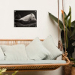 Paarden - Zwart - Wit - Kudde tuinposter los doek klein -sfeer7