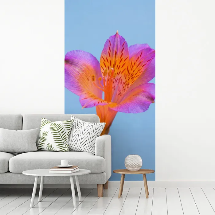 Bloem - Detail - Kleurrijk fotobehang vinyl groot -woonkamer