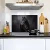Portret - Paard - Zwart Inductie beschemer met haakjes klein -sfeer2