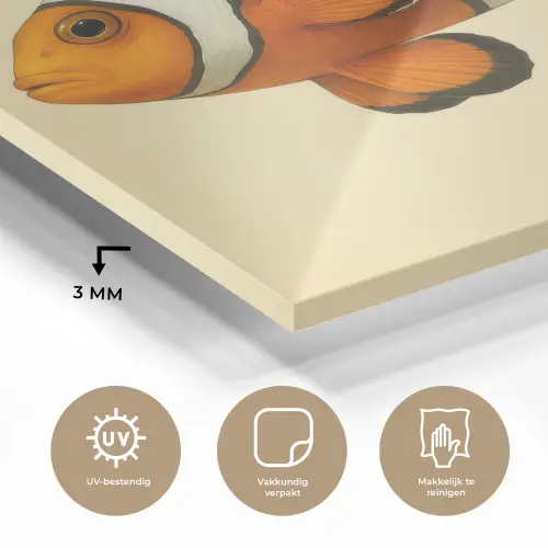 Vis - Oranje - Strepen plexiglas 5mm klein -sfeer2