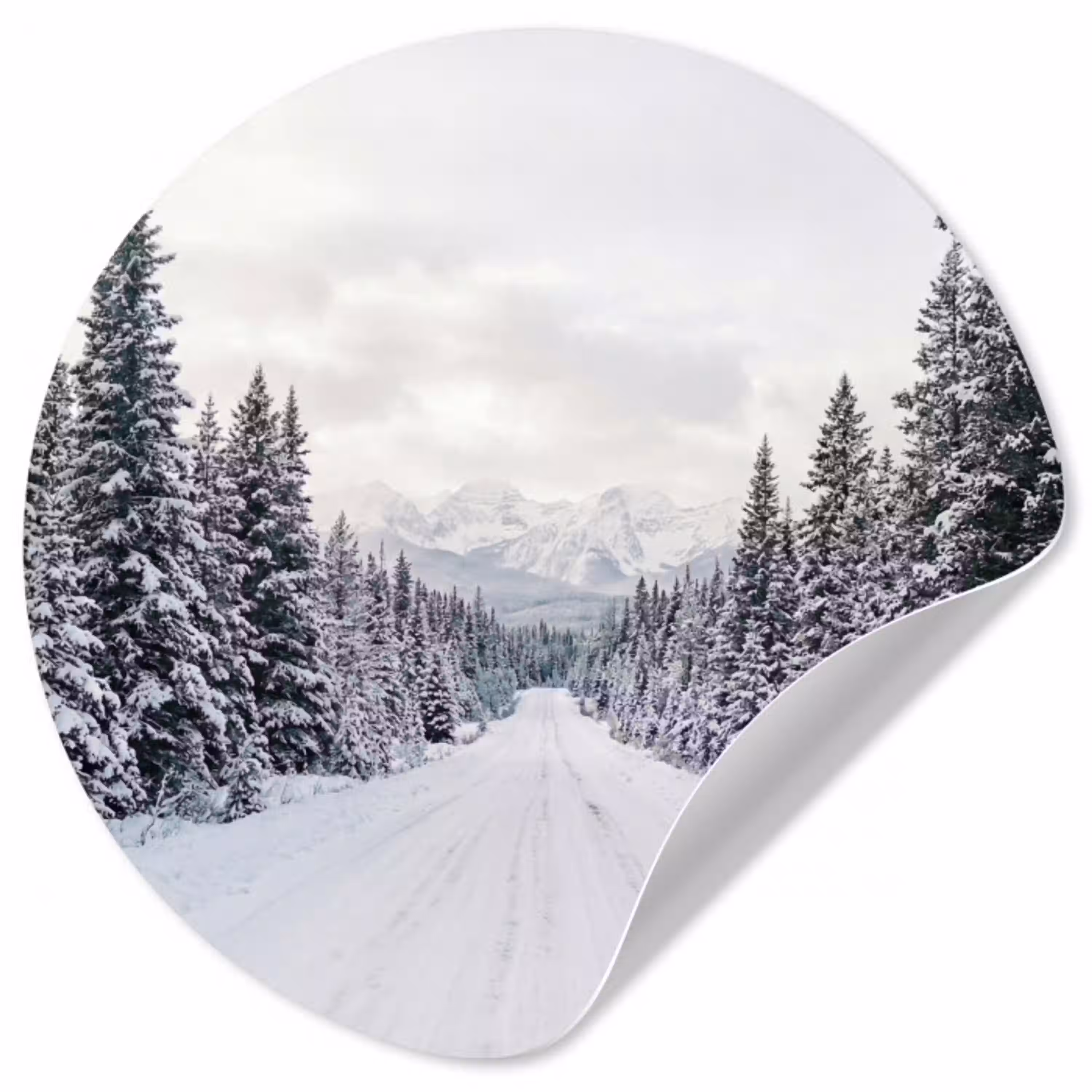 Weg - Sneeuw - Naaldbos - Winter - Avontuurlijk Wandcirkel behangsticker klein -3d