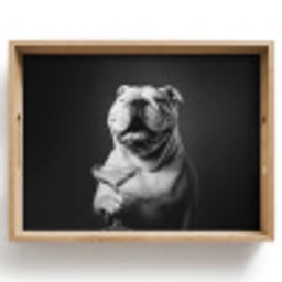 Buldog - Hond - Glas Dienblad Rechthoek middel -z3d_shopping