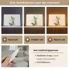 Cactus - Groen - Minimalistisch Light Box met kabel (Tafellamp) klein -USP_lichtkleurNL