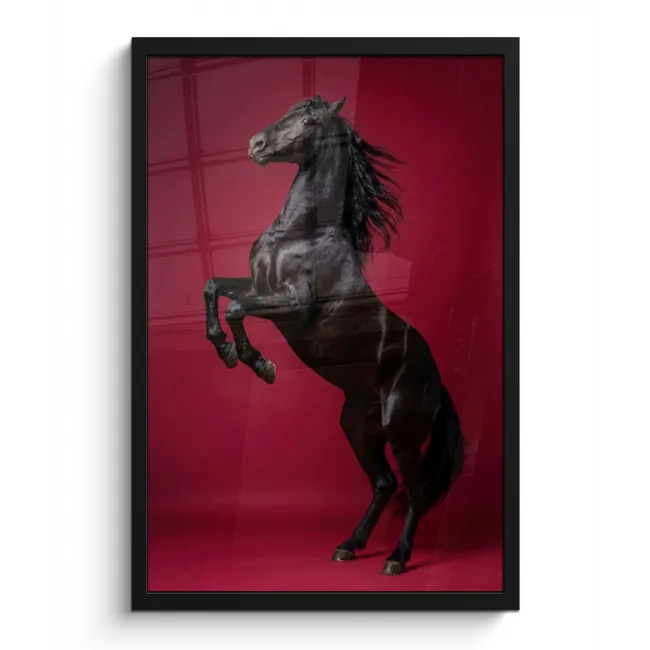 Poster met lijst - Hengst - Steigert - Rood