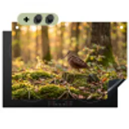 Houtsnip - Bos - Bladeren - Herfst - Gecamoufleerd Inductie beschemer met haakjes klein -3d