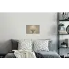 Dromerig - Beige - Paardenbloemzaadjes Muursticker klein -slaapkamer