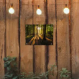 Avondlicht in het bos tuinposter los doek klein -sfeer1