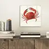 Krab - Felrood - Poten plexiglas 5mm klein -sfeer1