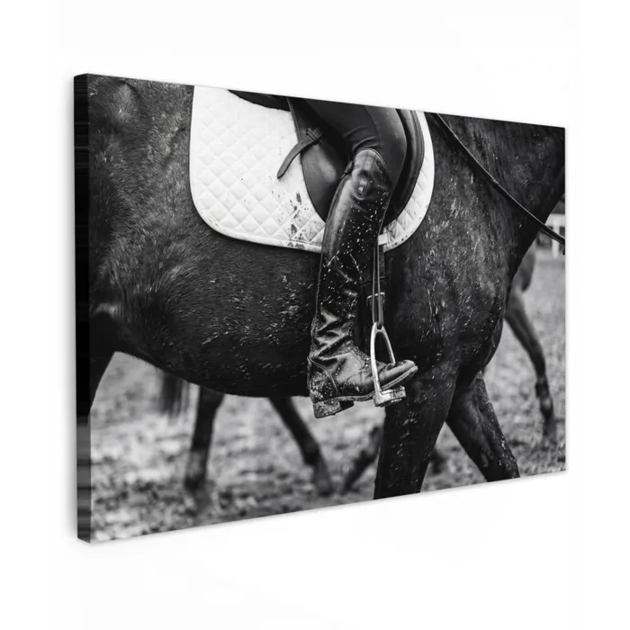 Paard - Sport - Zwart - Wit canvas 2cm klein -z3d