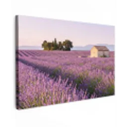 Lavendel - Landschap - Sereen - Paars canvas 2cm klein -z3d
