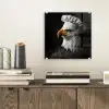 Arend -Amerika - Koksmuts - Vogel - Stoer plexiglas 5mm klein -sfeer1