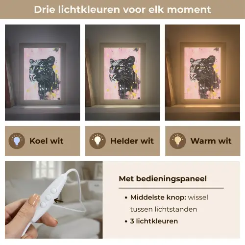 Zwart - Panter - Roze - Abstract Light Box met kabel (Tafellamp) klein -USP_lichtkleurNL