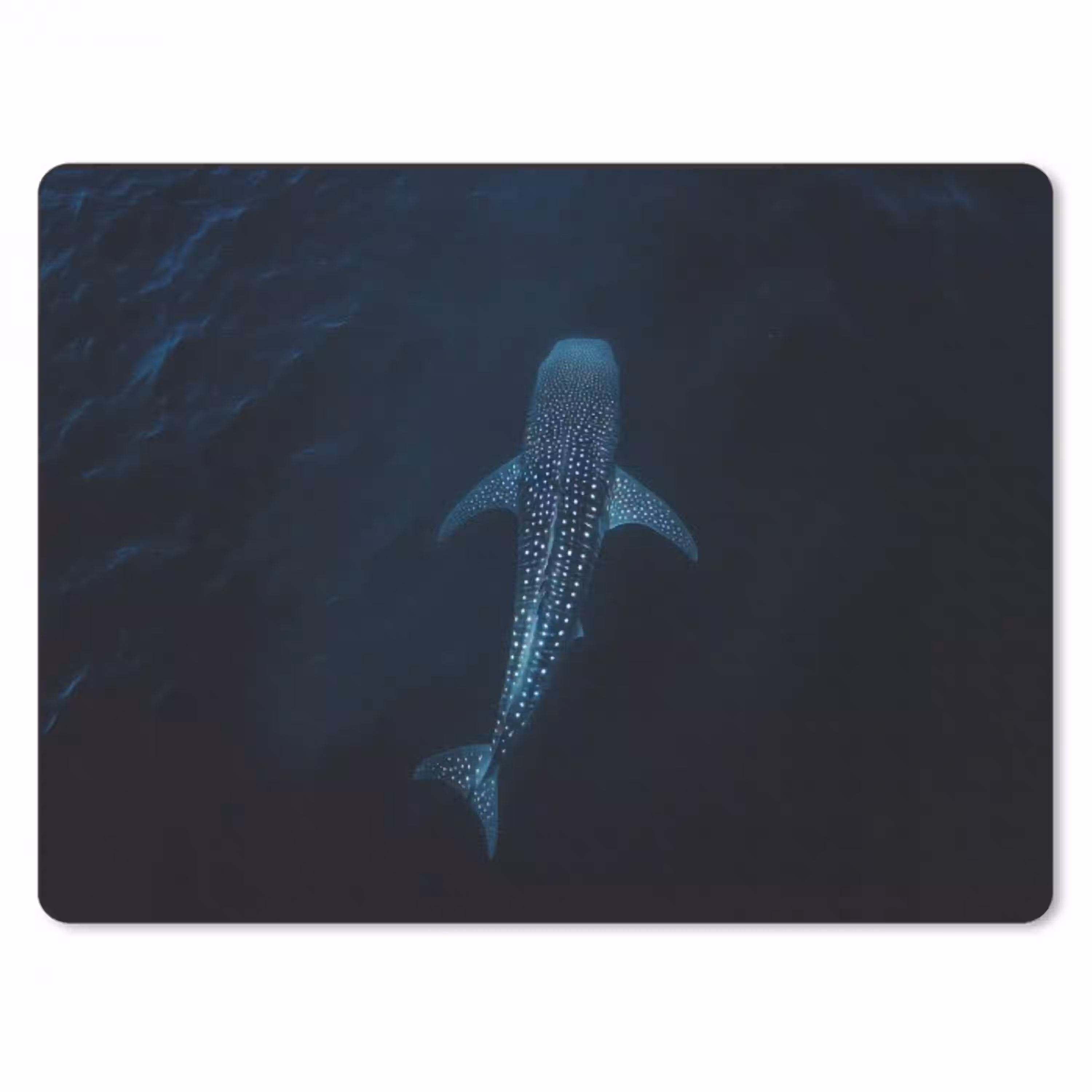 Oceaan - Walvishaai - Donkerblauw - Vlekken muismat rubber klein -3d