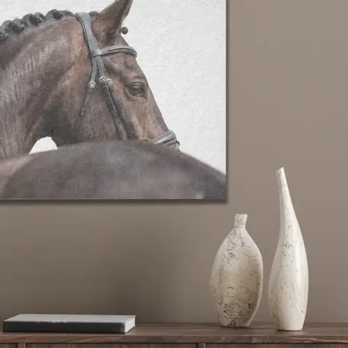 Portret - Paard - Elegant PET vilt klein -sfeer6_closeup