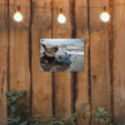 Schelp - Strand - Blauw - Zee tuinposter los doek klein -sfeer1