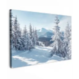 Winterlandschap - Natuur - Berg - Bomen - Sneeuw Tuinposter op houten frame 2 cm dik klein -3d