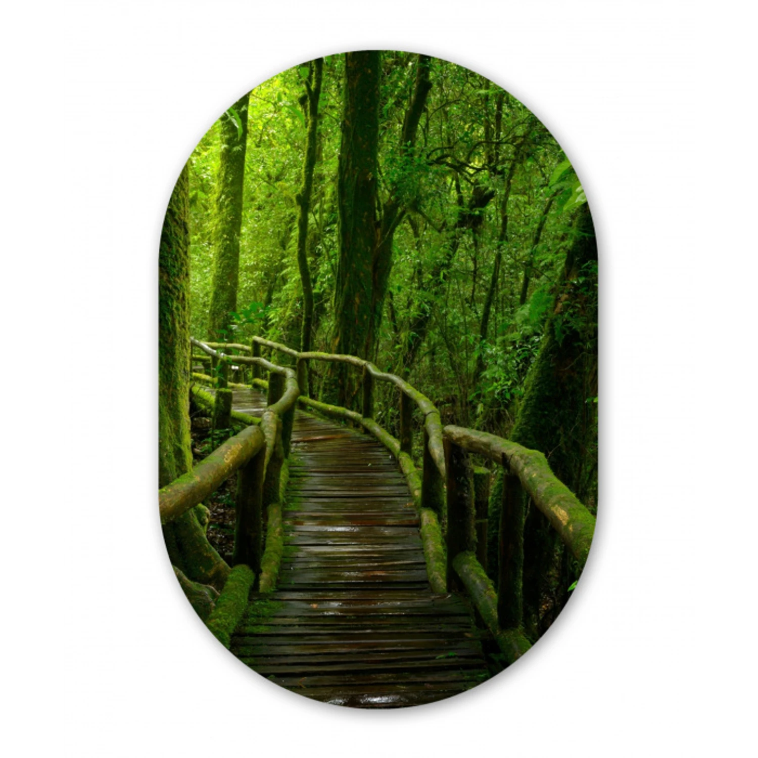 Jungle - Brug - Mos - Natuur - Tropisch Wandcirkel Ovaal Forex klein -3d