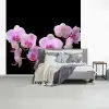 Orchidee - Bloemen - Roze - Flora fotobehang vinyl groot -slaapkamer