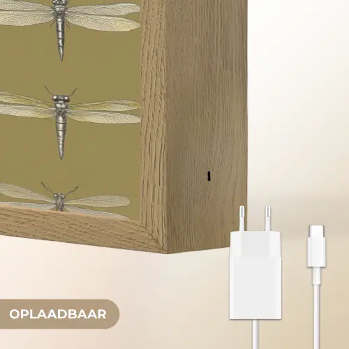 Libellen - Patroon - Groen Light Box met batterij (Wandlamp) middel 907 -USP_websiteoplaadbaarNL