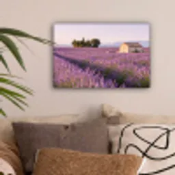 Lavendel - Landschap - Sereen - Paars canvas 2cm klein -sfeer1