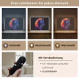 Paard - Dier - Rook - Zwart - Kleuren Light Box met batterij (Wandlamp) middel -USP_lichtkleurDE
