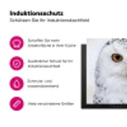 Sneeuwuil - Oog - Wildlife - Wit Inductie beschermer vinyl 3mm klein -zzzzzzz-lf-ups