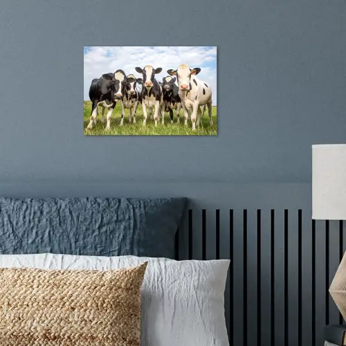 Koeien - Weiland - Dieren - Natuur - Gras poster papier klein -sfeer2