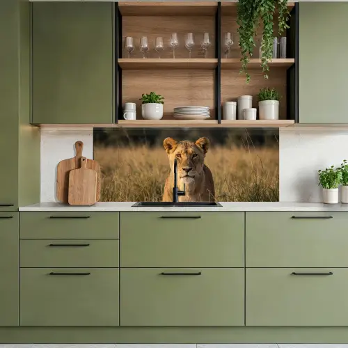 Leeuwin - Gras - Geel keuken achterwand 2 middel -sfeer3