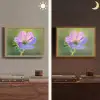 Bloem - Close up - Paars Light Box met batterij (Wandlamp) middel -sfeer3
