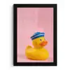 Matroos - Eend - Roze fotolijst zwart zonder passe partout klein -3d