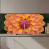 Dahlia - Bloem - Oranje keuken achterwand 2 middel zz_3dshopping