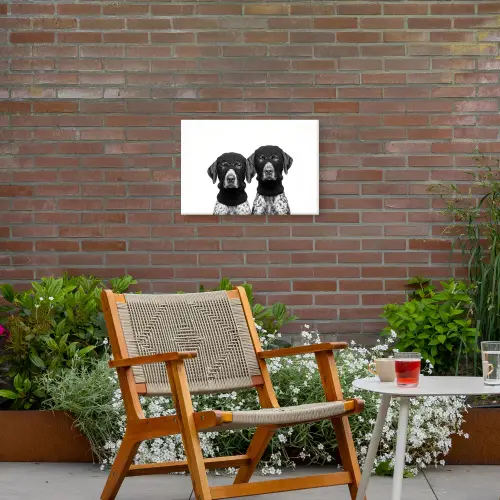 Honden - Bivakmuts - Zwart - wit Tuinposter op houten frame 2 cm dik klein -sfeer3