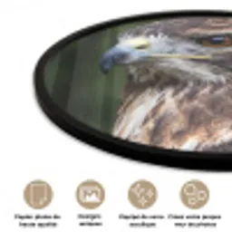 Buizerd - Roofvogel - Natuur - Bruin Fotolijst rond zonder passe partout klein -closeup_FR