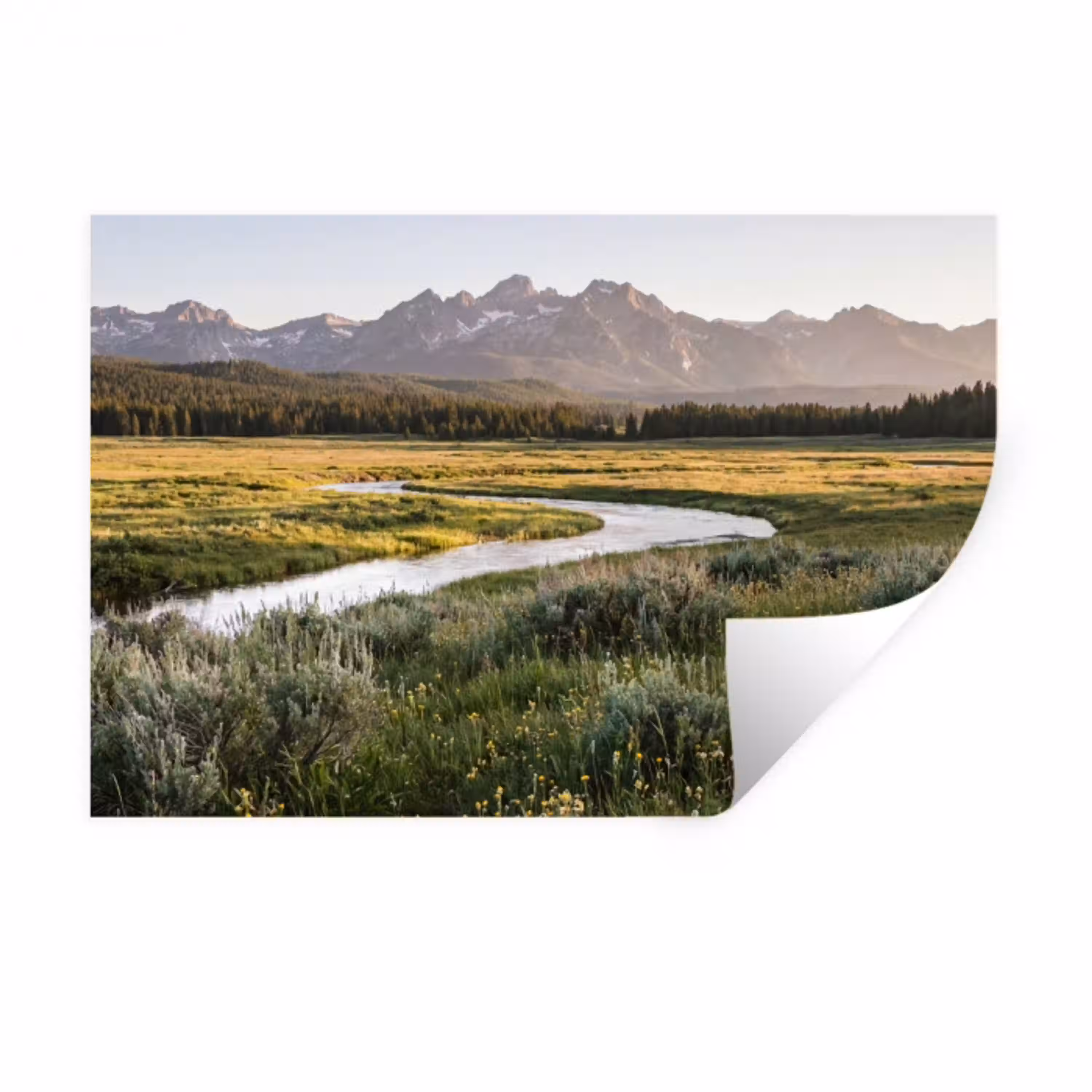 Berglandschap - Rivier - Bos Muursticker klein -3d