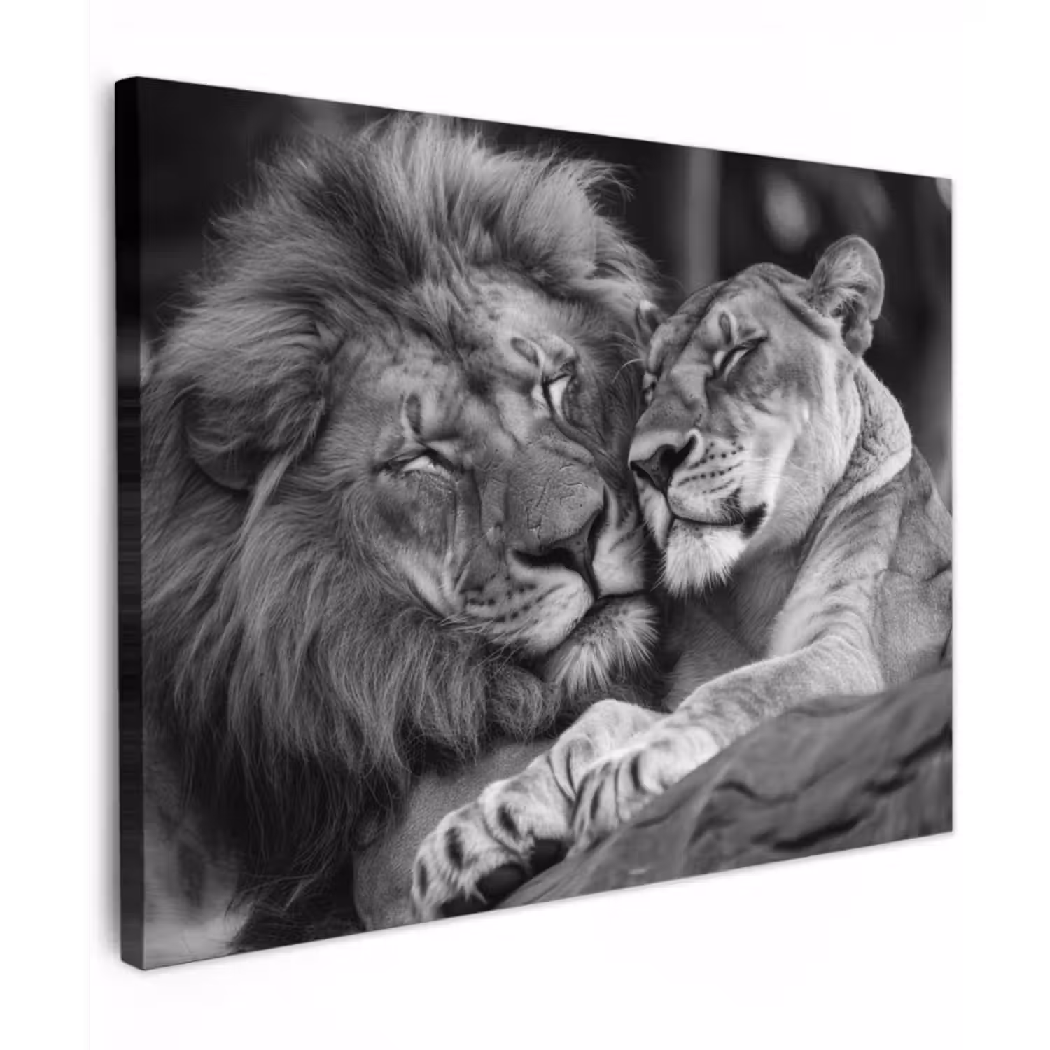Canvas schilderij - Leeuwen - Dieren - Zwart - Wit - Leeuw