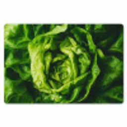 Groente - Sla - Groen Placemat vinyl groot -zzsfeer1_Kitchenyeah-website