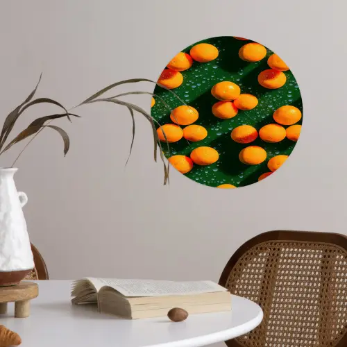 Mandarijn - Oranje - Druppels - Groen Wandcirkel behangsticker klein 186 -sfeer3