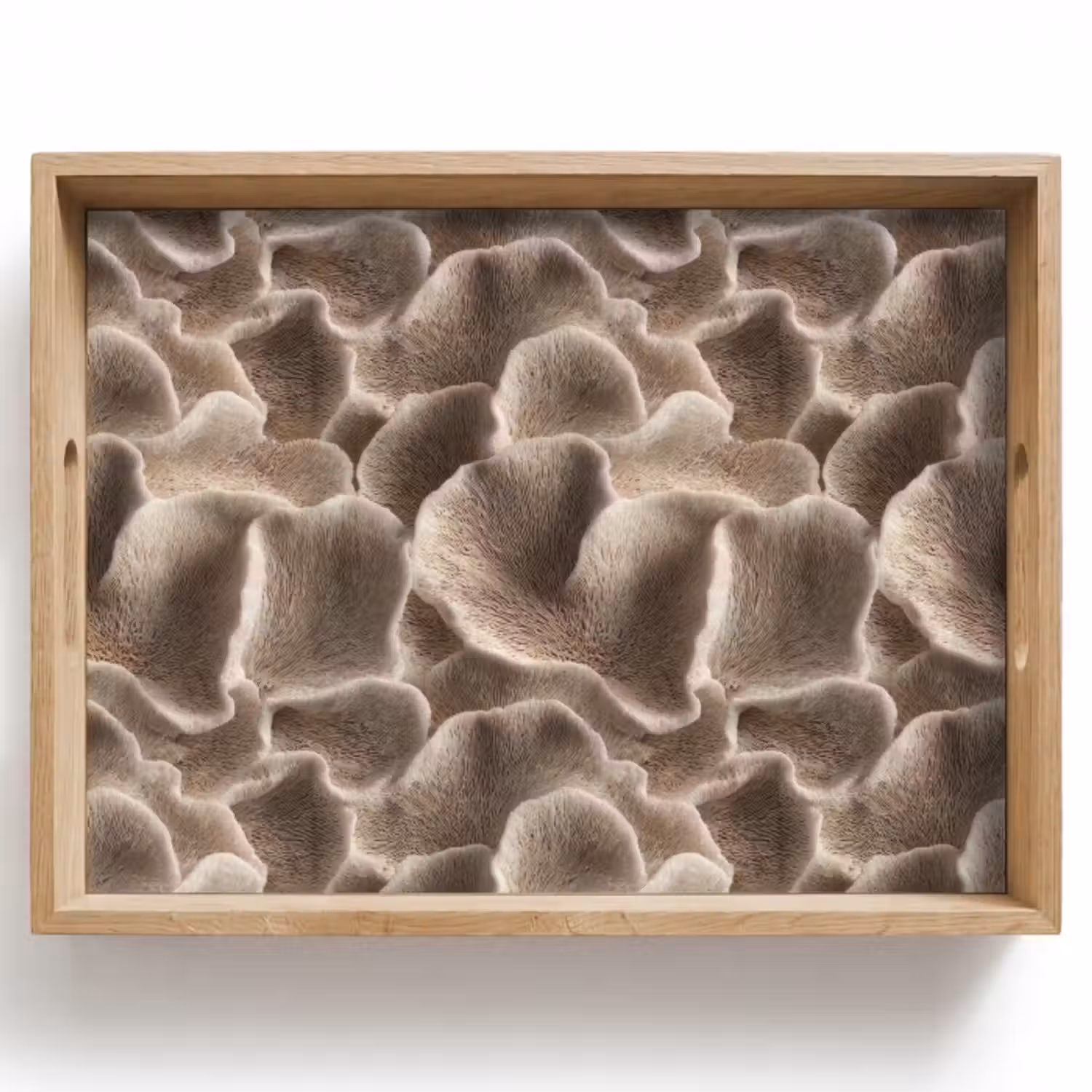 Tablett - Fächerform - Beige - Faserstruktur