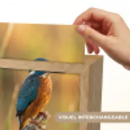 IJsvogel - Tak - Water - Kleurrijk - Levendig Light Box met kabel (Kinderlampje) klein -USP_websiteprintFR
